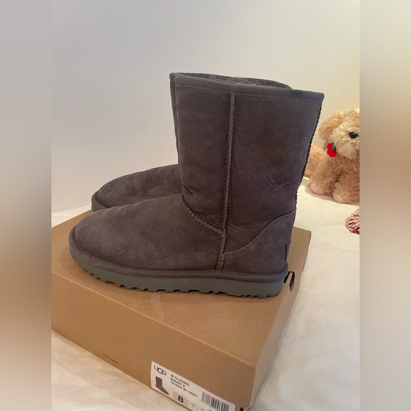 Ugg Classic Short II in gray - Picture 13 of 16